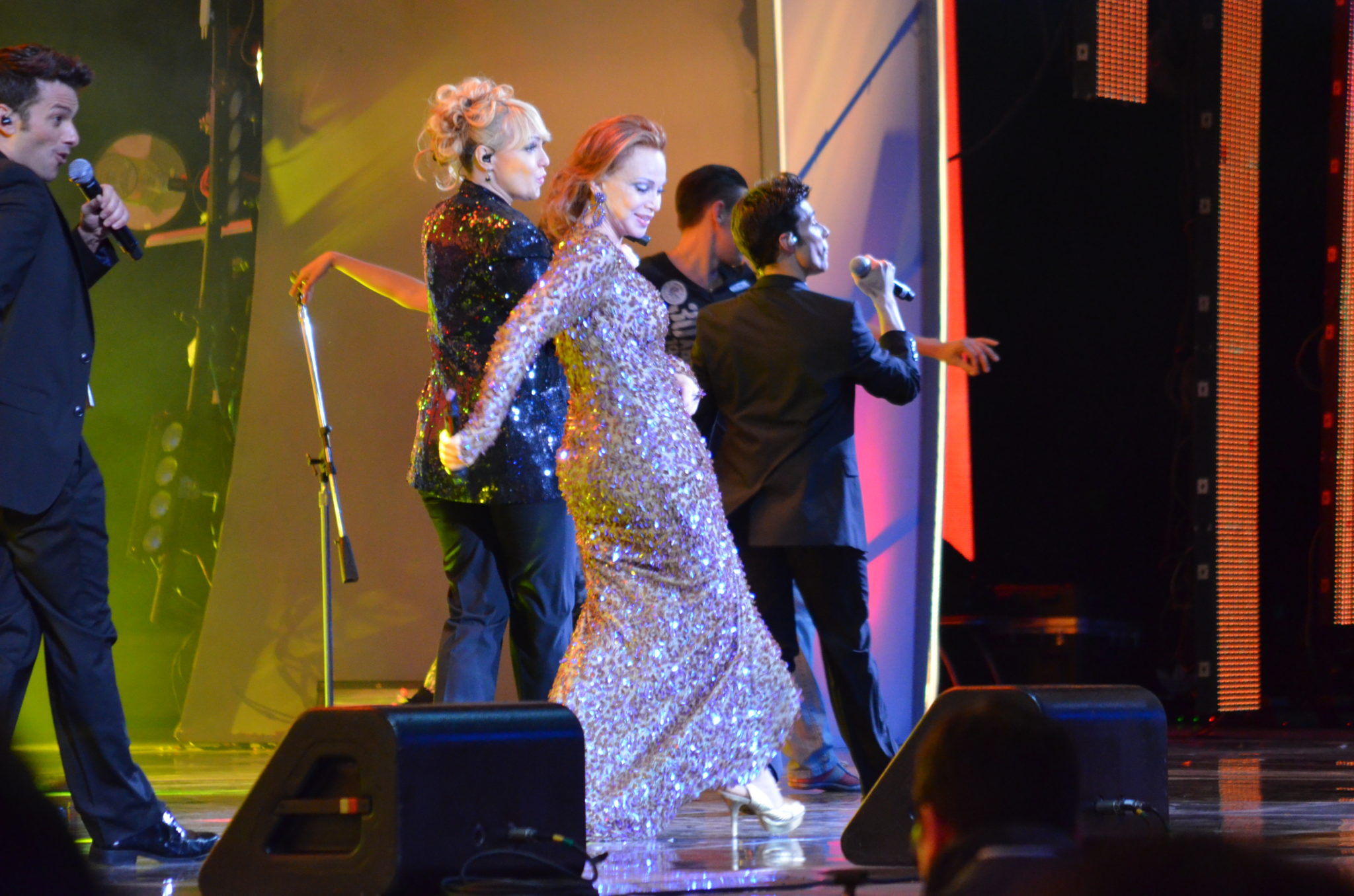 La Quinta Jornada de Viña 2014, fue una noche “redonda”