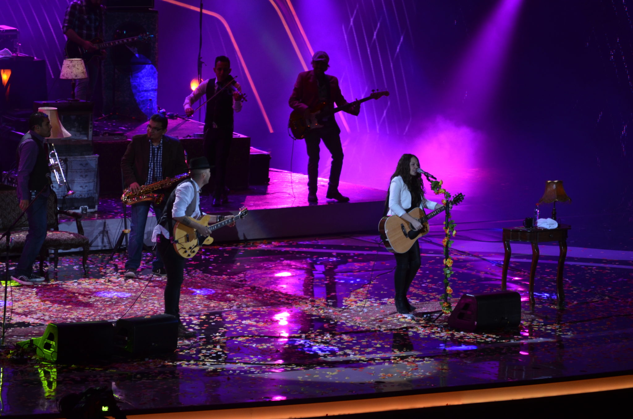 Exitoso final de la 55° versión del Festival de Viña del Mar