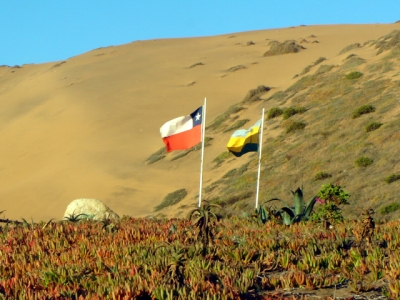 Campo Dunar: Preocupación por tardanza en plan de manejo.