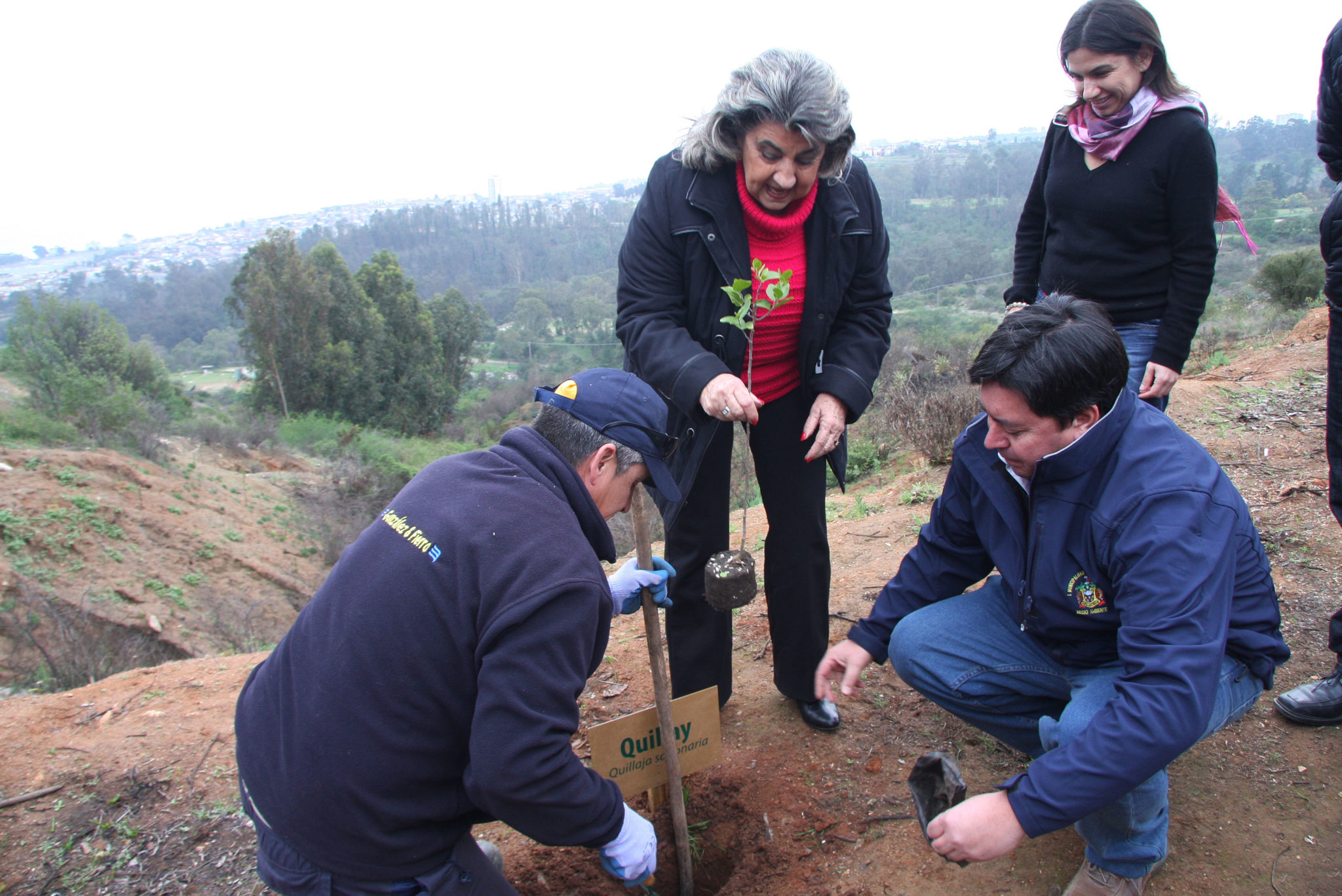 Inician reforestacion de Parque Padre Hurtado en Viña del Mar