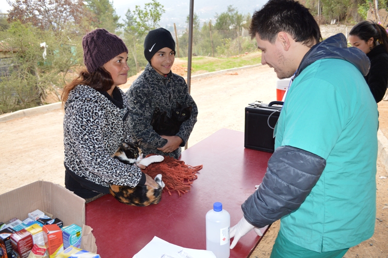 Nuevo operativo veterinario se realizará en C.D. El Venado de Olmué
