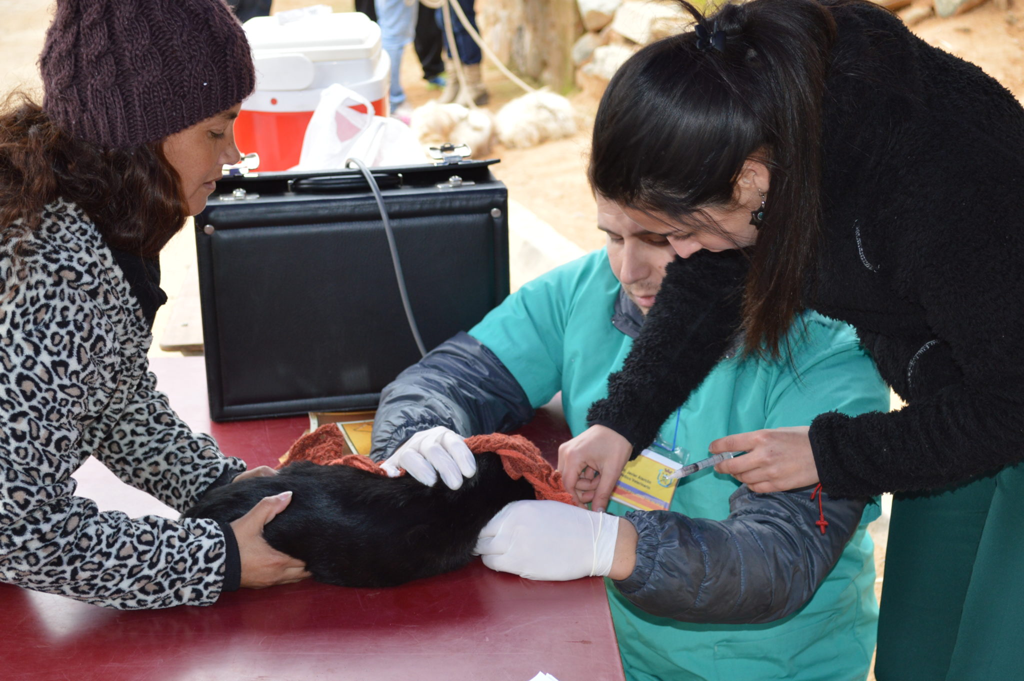 Más de cien mascotas fueron vacunadas en operativo veterinario