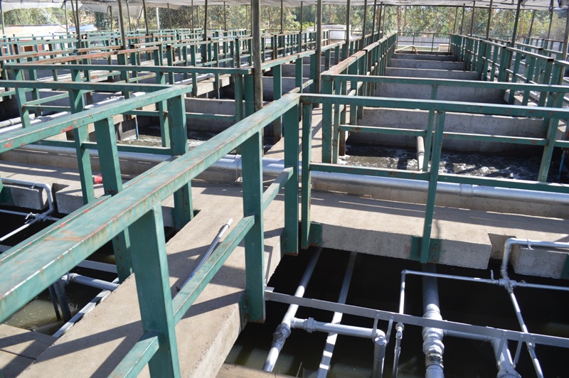 Gobierno Regional aprueba financiamiento para proyecto de Mejoramiento de la Planta de Tratamiento de Aguas Servidas