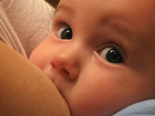 Cesfam de Olmué convoca a concurso de poesía  y fotografía para promover la lactancia materna