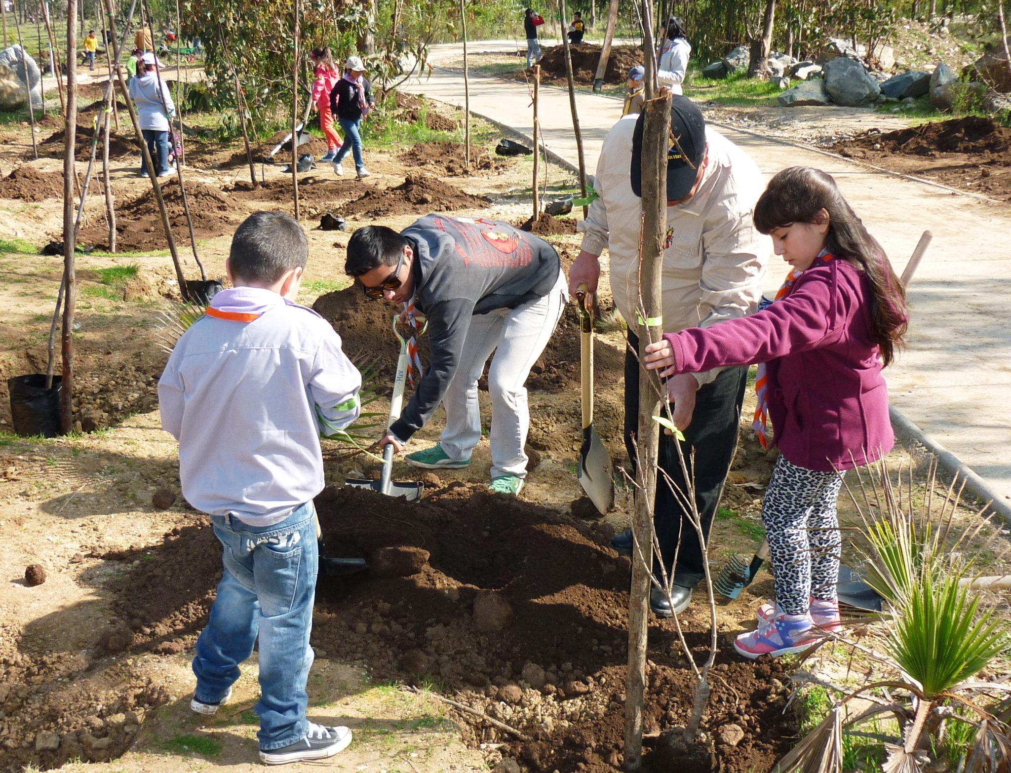 Niños porteños dieron el vamos a la campaña de reforestación del Parque Quebrada Verde