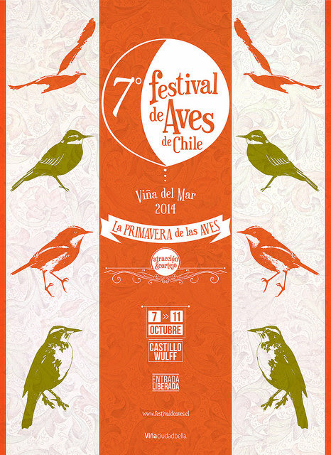 Viña del Mar invita a vivir Festival de Aves de Chile 2014, del 7 al 11 de Octubre