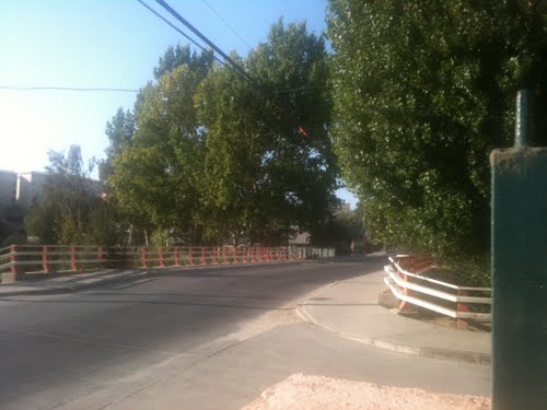 !Horrendo caso de maltrato animal en Villa Alemana!