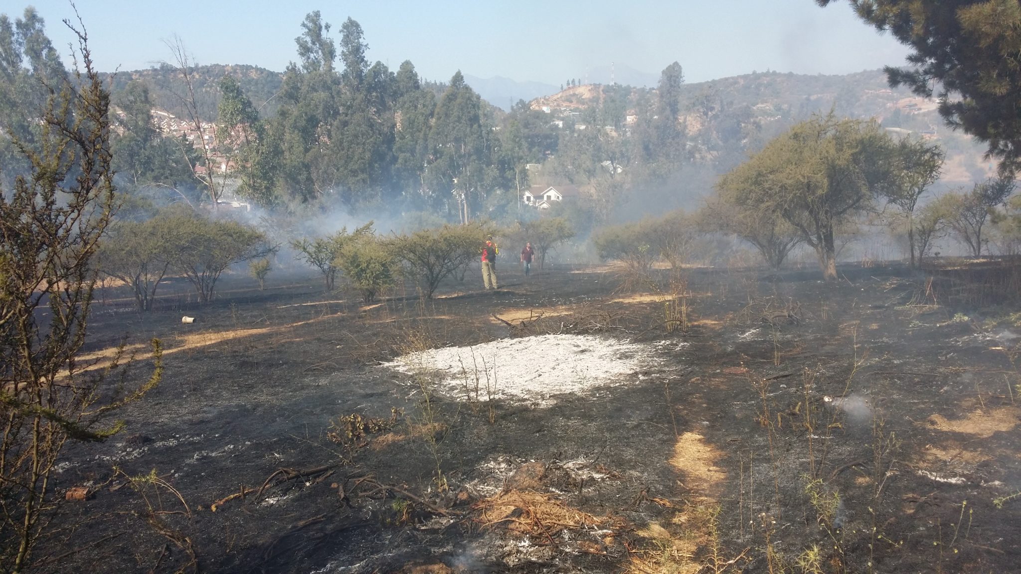 2 incendios simultáneos movilizaron a las unidades de emergencia en Villa Alemana