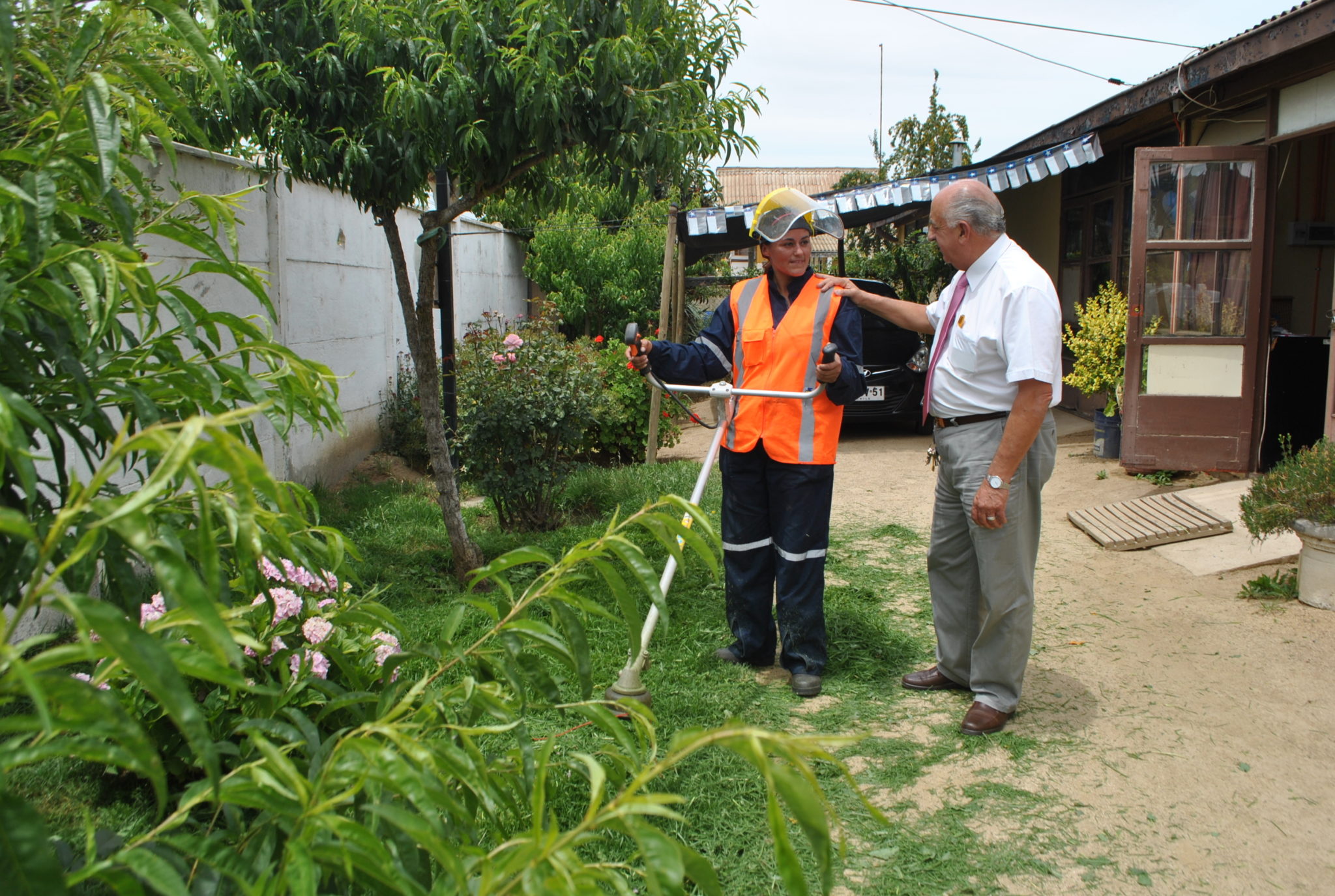 Mujeres se reinsertan en vivero municipal de Villa Alemana