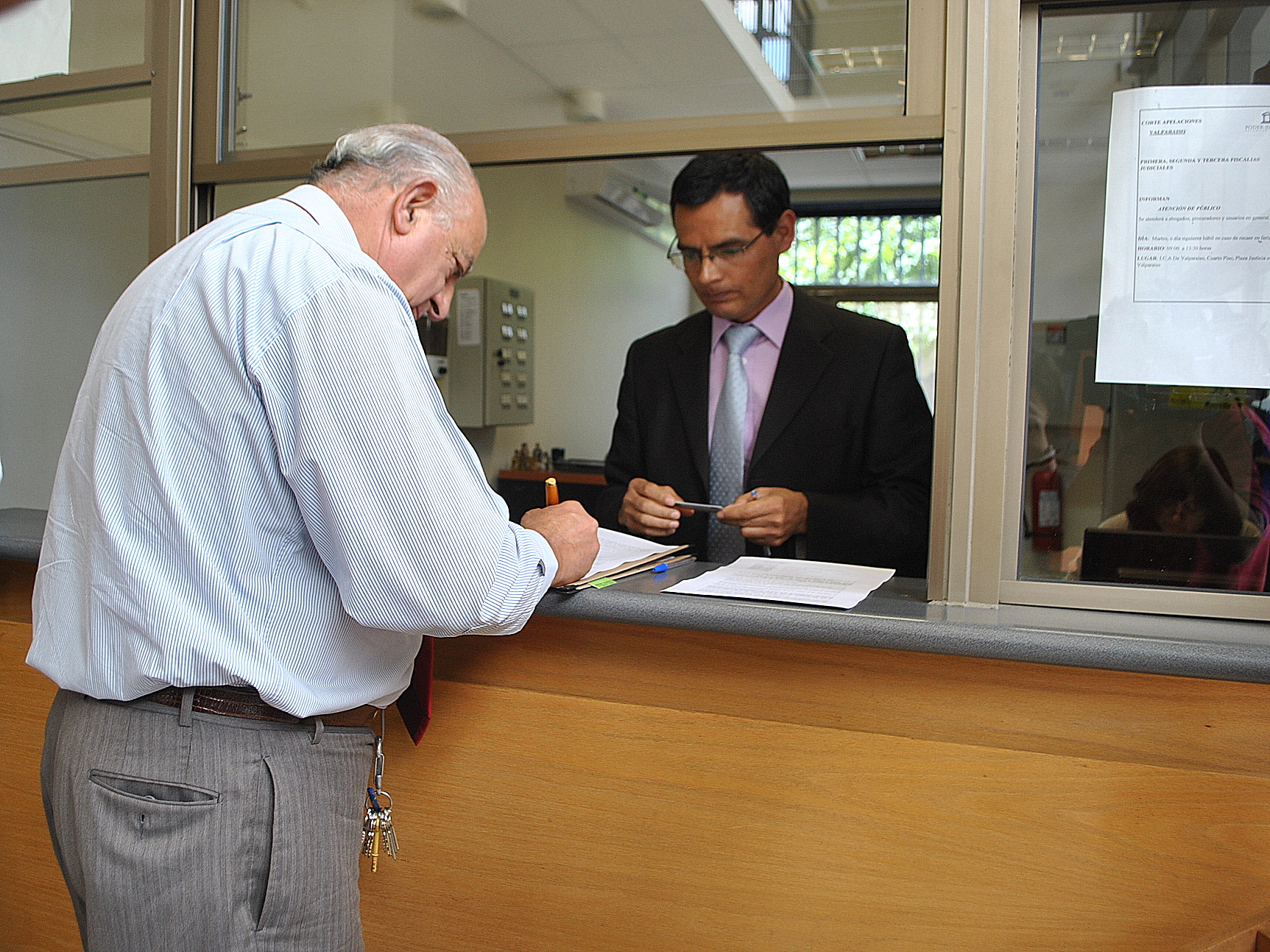 Villa Alemana se querella contra vecina que tiene 80 perros hacinados