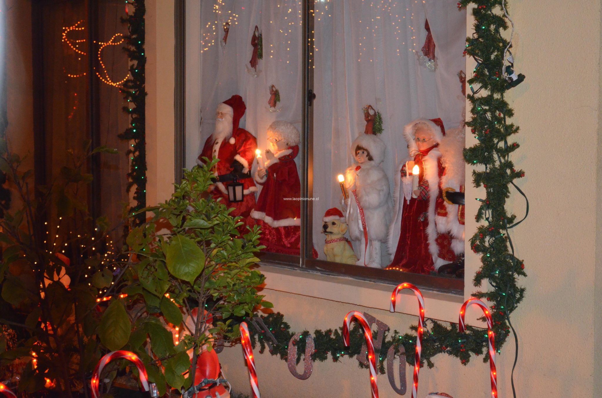 Hermosas casas adornan la Navidad en Villa Alemana