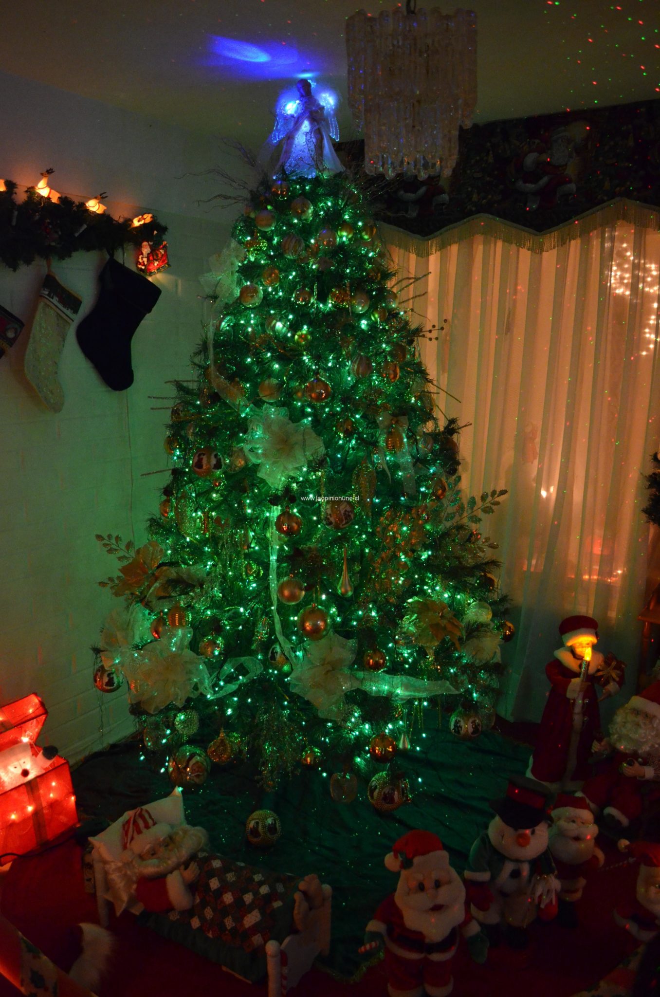 Hermosas casas adornan la Navidad en Villa Alemana