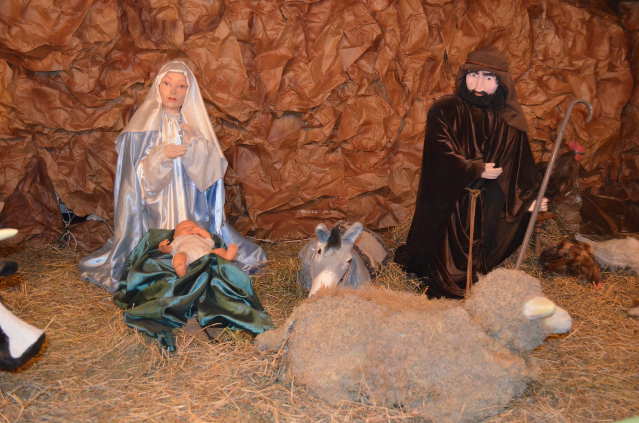 Hermosas casas adornan la Navidad en Villa Alemana