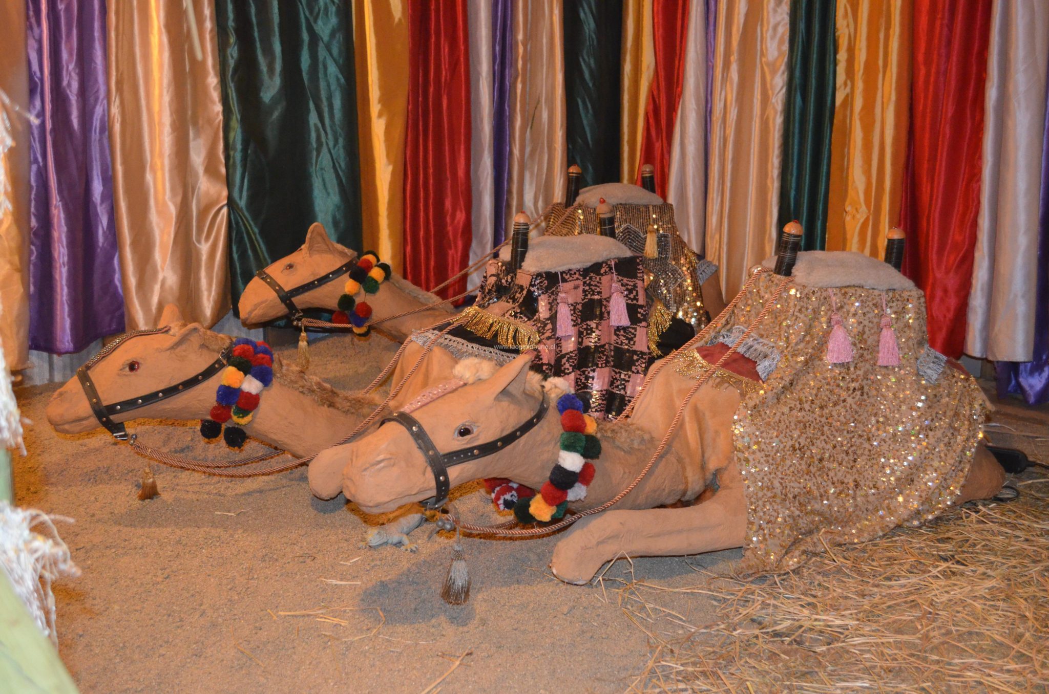 Hermosas casas adornan la Navidad en Villa Alemana