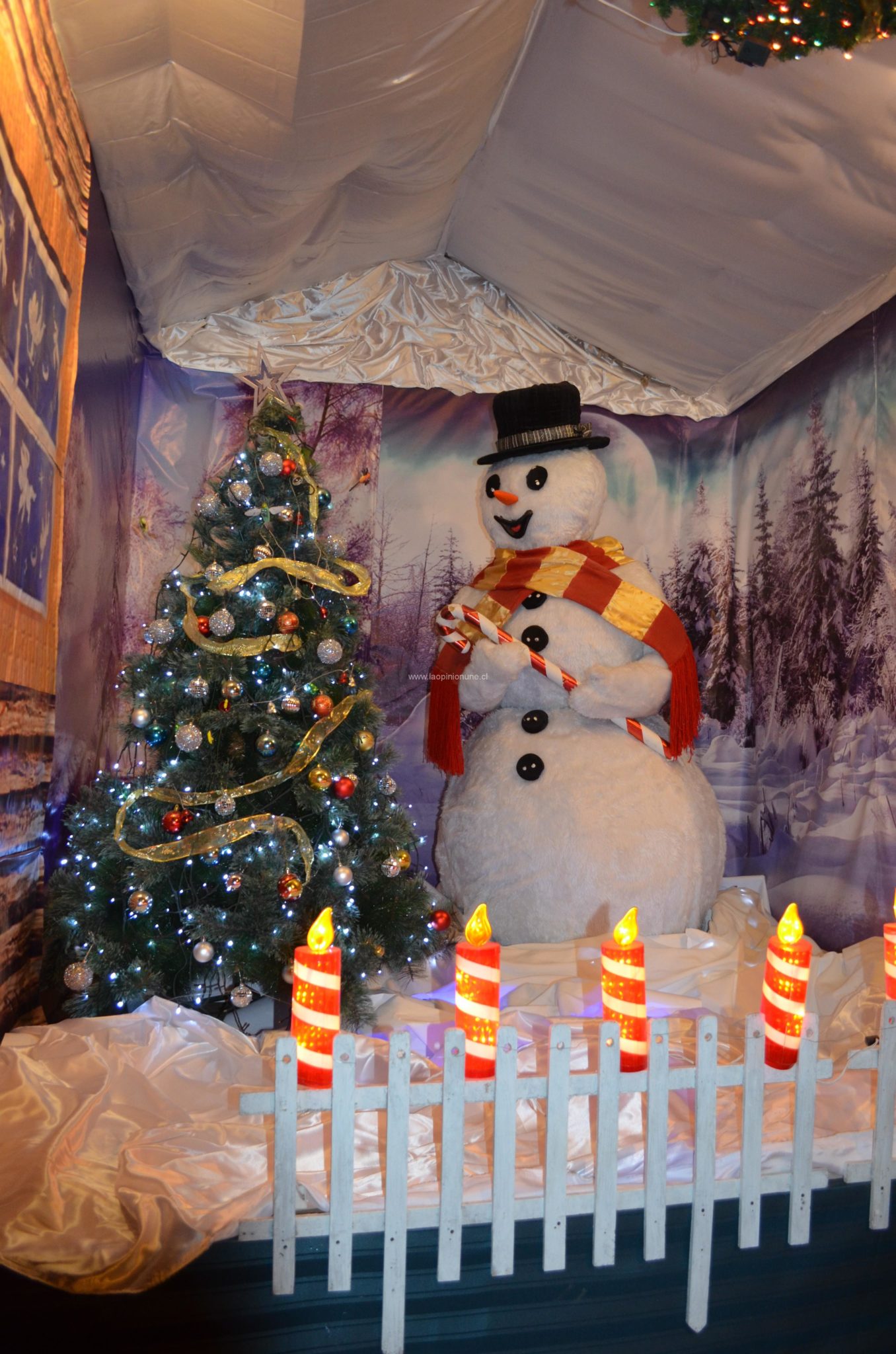 Hermosas casas adornan la Navidad en Villa Alemana
