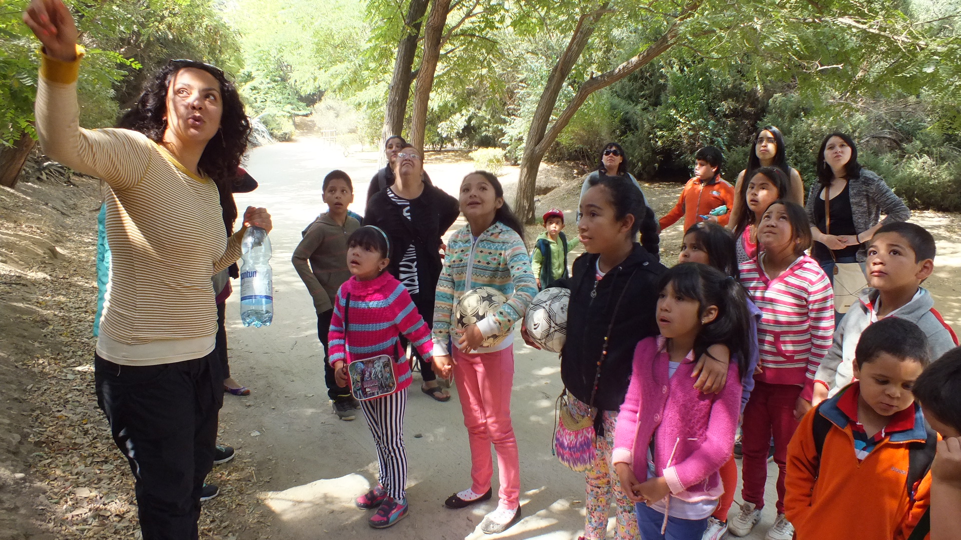 Niños de Campamentos de Viña del Mar asisten a talleres de patrimonio natural en Jardín Botánico