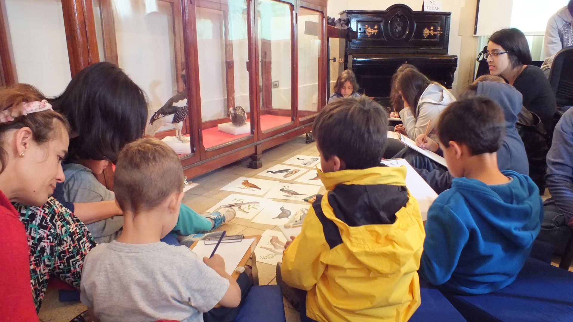 Alcaldesa manifiesta alegría por niños que participan en primeros talleres de ilustración científica este verano en Castillo Wulff