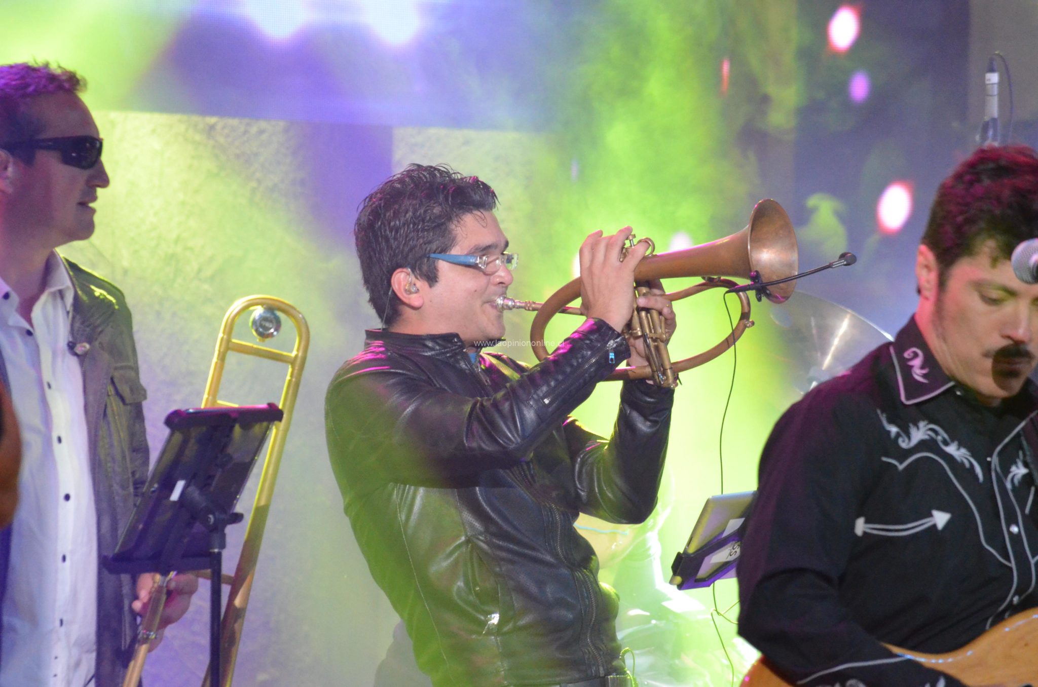 Chancho en Piedra cierra la primera noche del Festival del Huaso de Olmué 2015