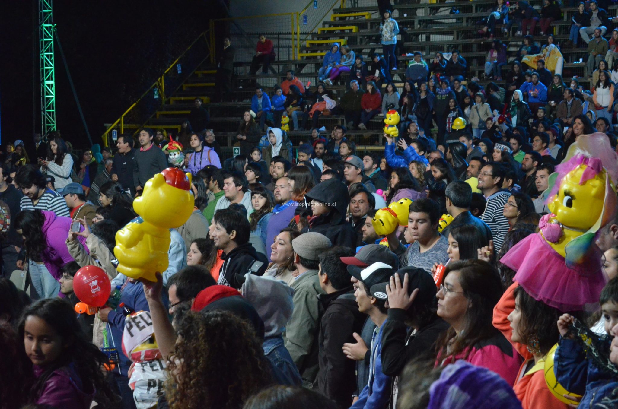 Chancho en Piedra cierra la primera noche del Festival del Huaso de Olmué 2015