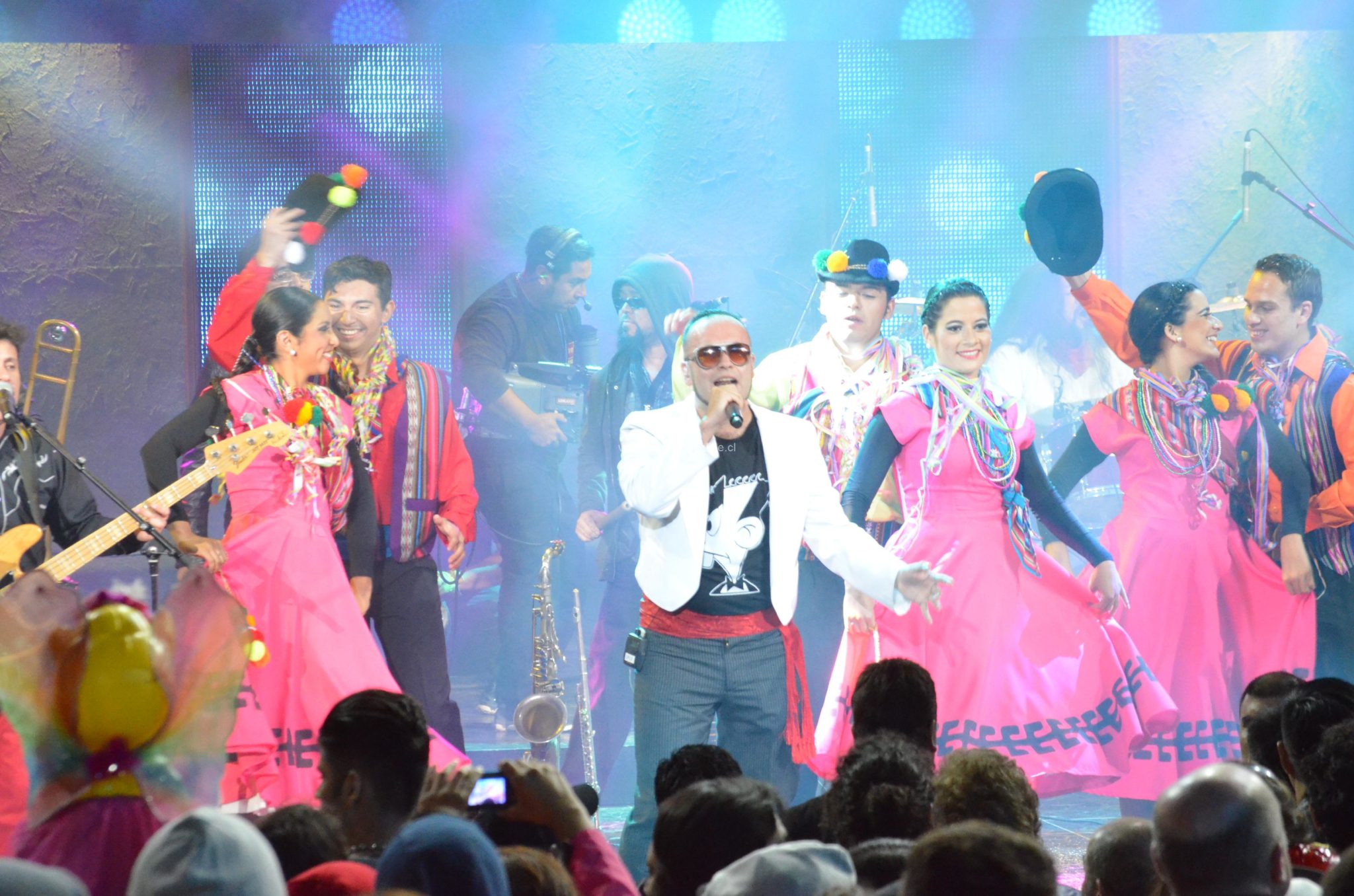 Chancho en Piedra cierra la primera noche del Festival del Huaso de Olmué 2015