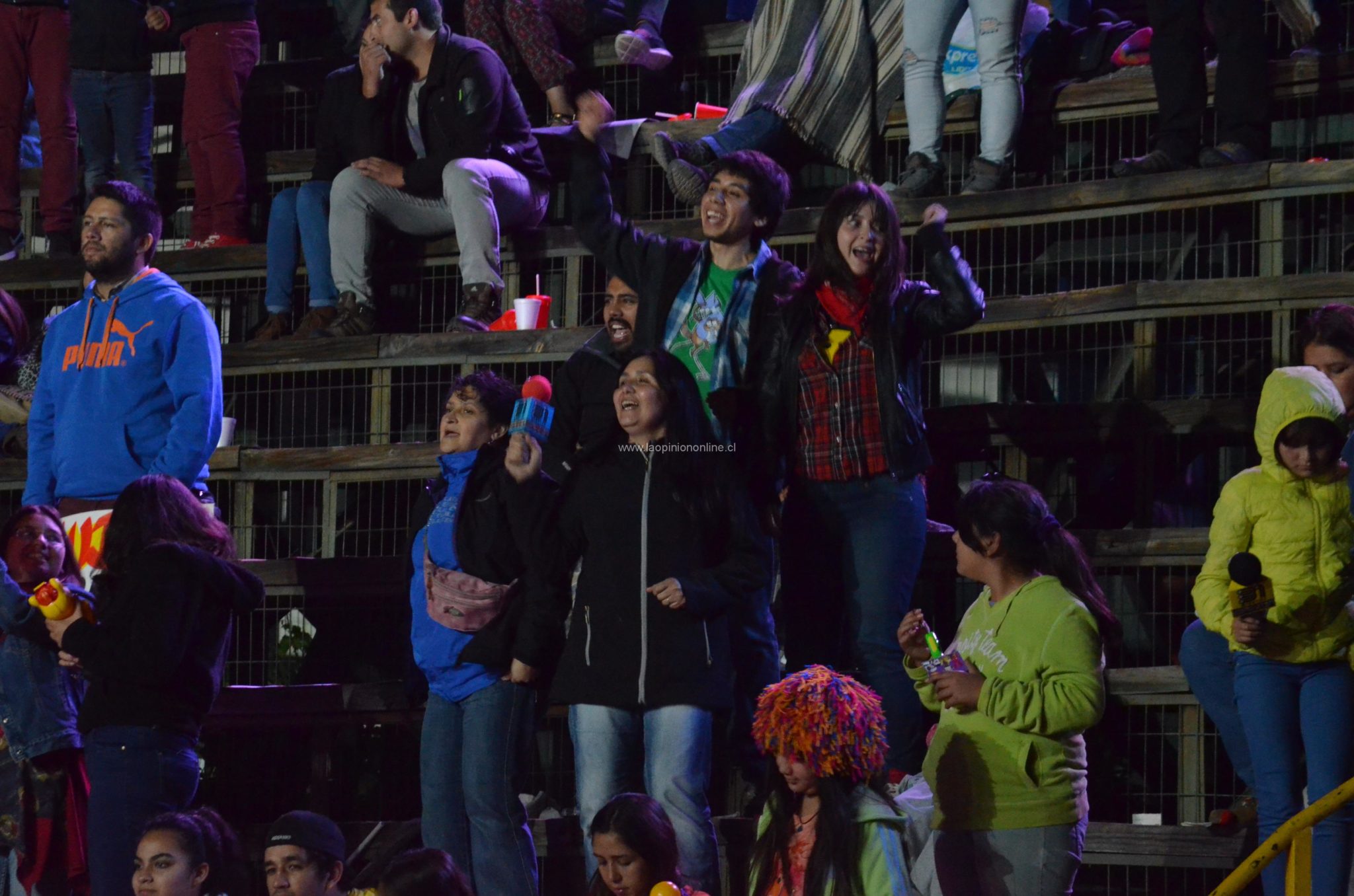 Chancho en Piedra cierra la primera noche del Festival del Huaso de Olmué 2015
