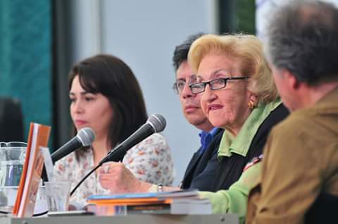 Presentan libro patrimonial sobre Cerro Castillo, en lo que fue la Feria Internacional del Libro de Viña del Mar