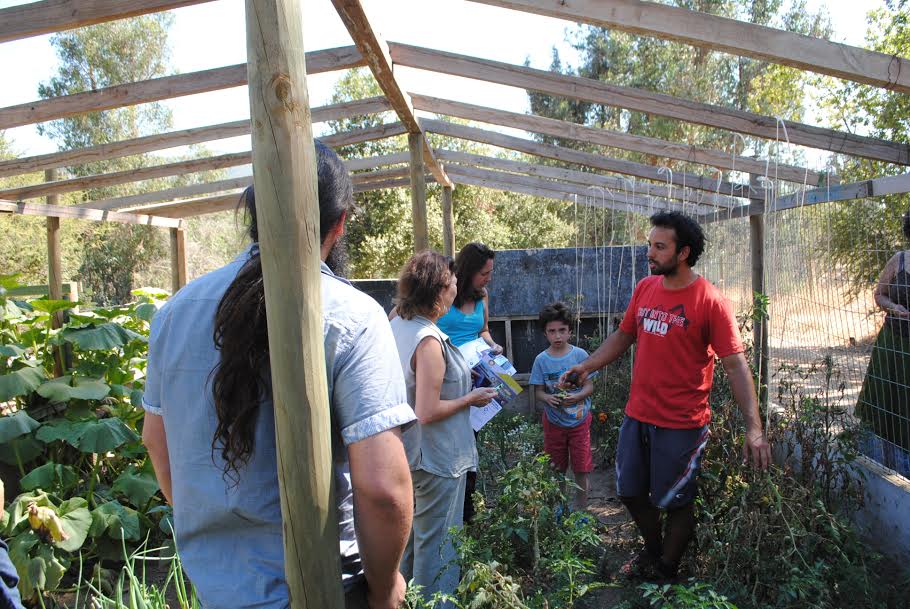 Dirigentes vecinales de Villa Alemana se capacitan en granja ecológica