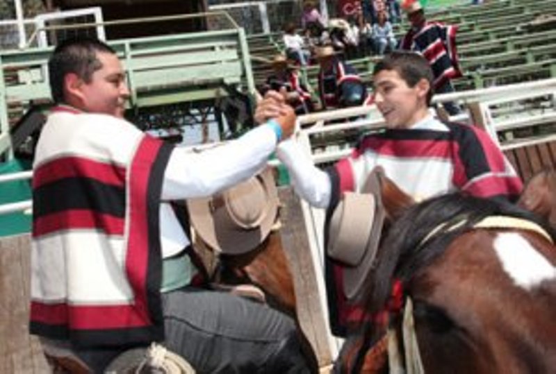 Cuatro jinetes olmueínos competirán en el Champion de Chile