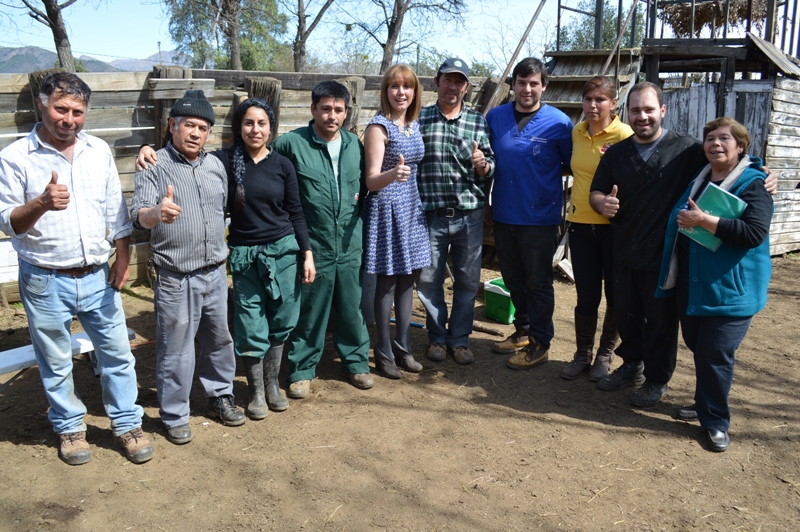 Operativos veterinarios en diversos sectores de Olmué