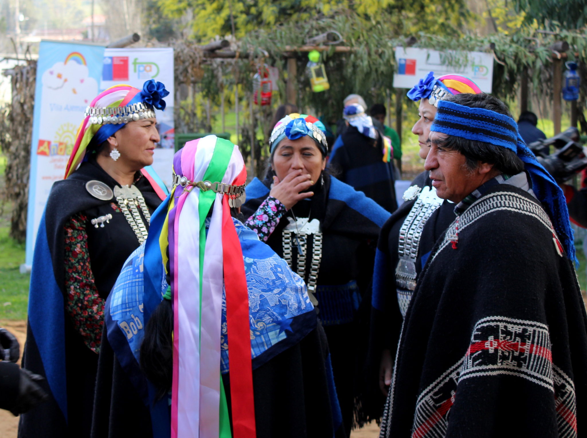 Comunidad Mapuche desarrolló sistema de producción orgánica de hierbas medicinales con “Proyecto Lawen”