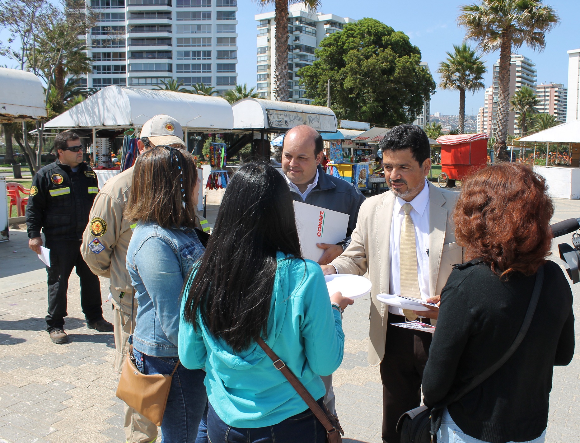 Conafe, Seremi de Energía y Bomberos llaman a no lanzar “challa metálica” cerca del tendido eléctrico