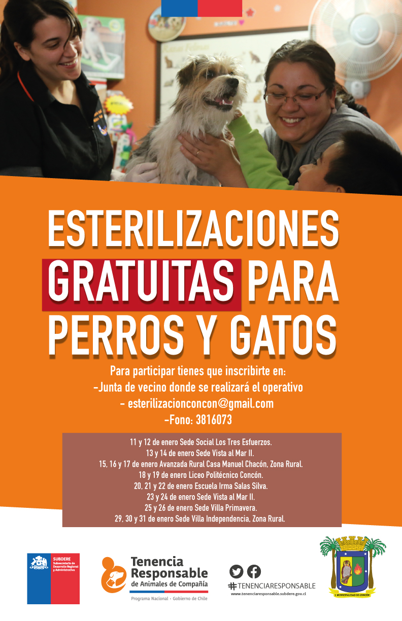 En Concón se realizan esterilizaciones gratuitas para perros y gatos