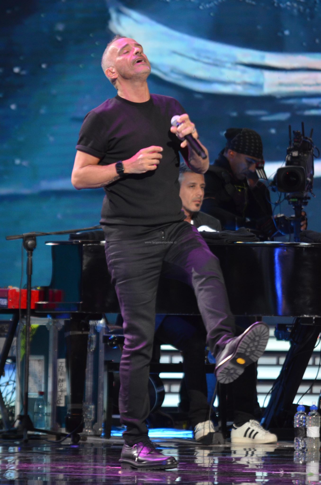 Así se vivió la segunda noche en Viña 2016