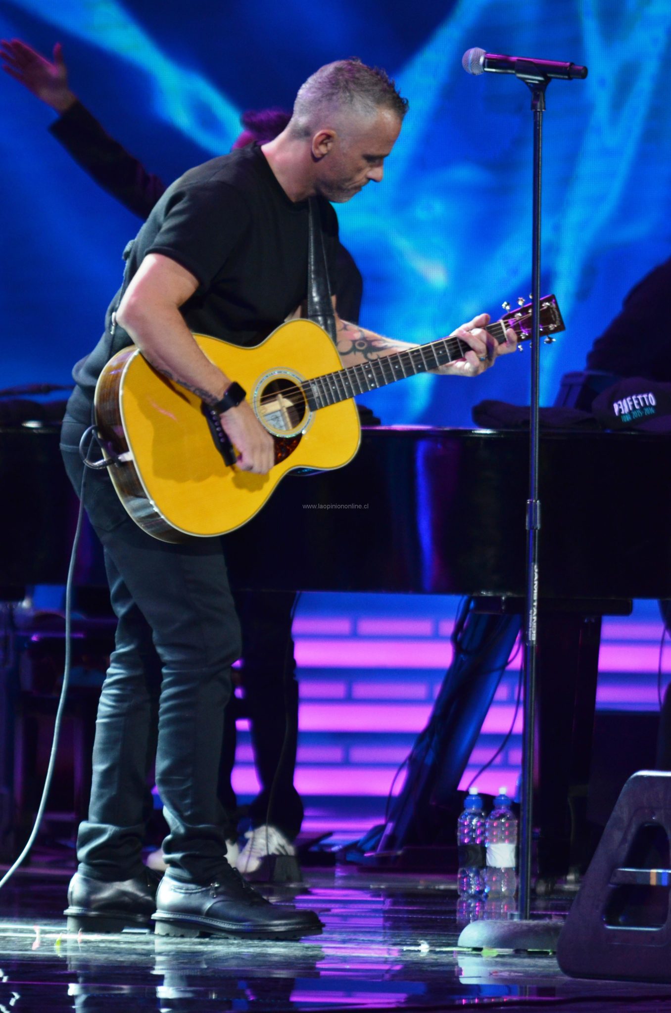 Así se vivió la segunda noche en Viña 2016