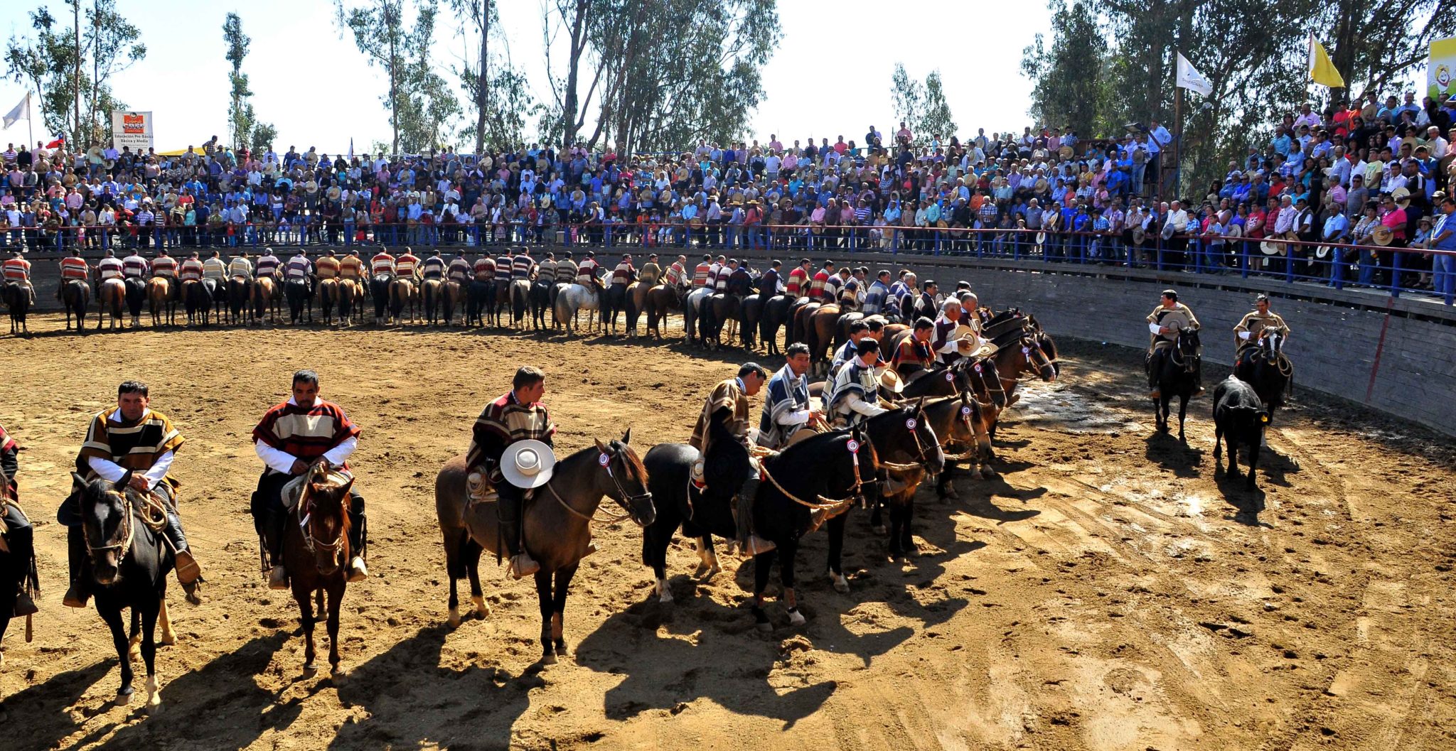 Ya están “al aguaite” las colleras que disputarán la gran final del Rodeo Campesino en Quilpué