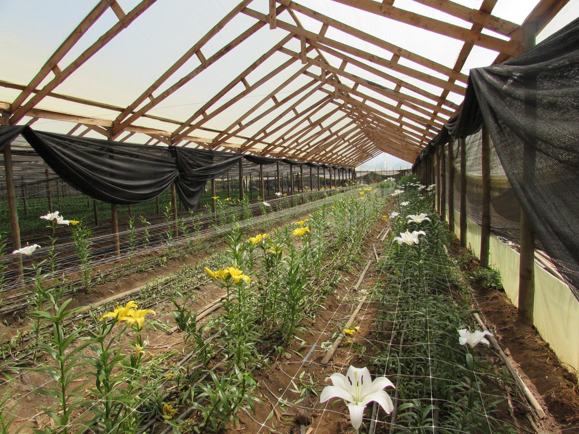 INDAP anuncia recursos millonarios para la Provincia de Quillota