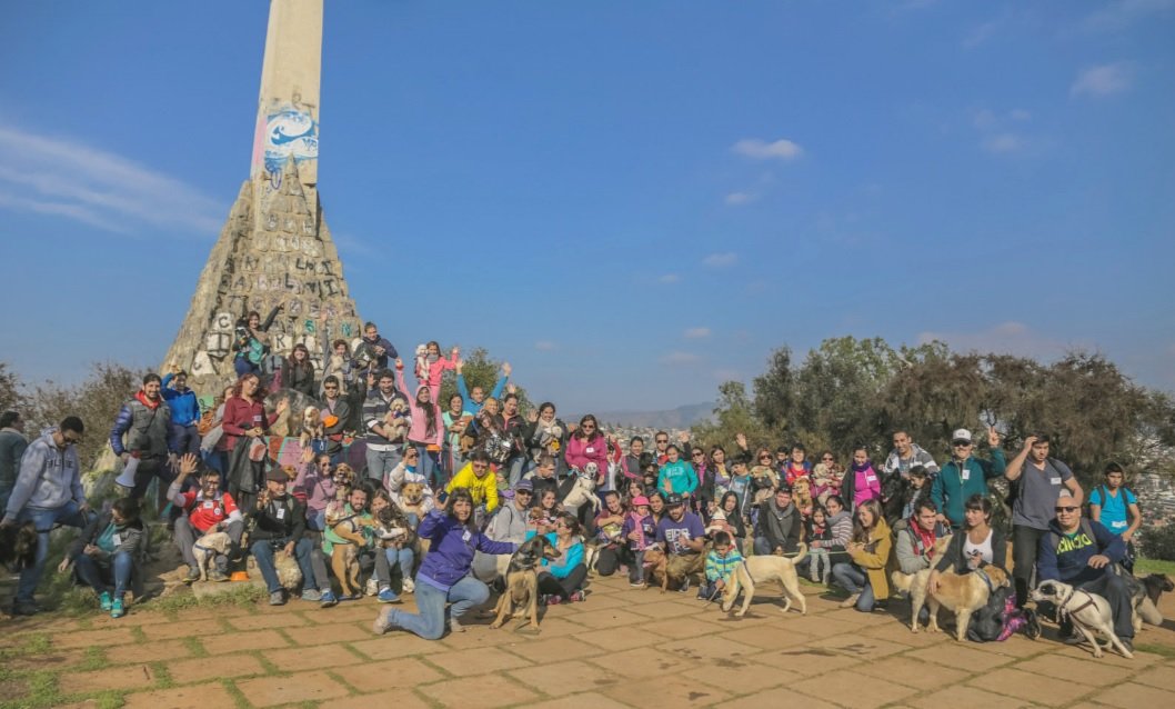 Con alta participación se llevó a cabo la “Caminata Canina” por el sector Norte de Quilpué