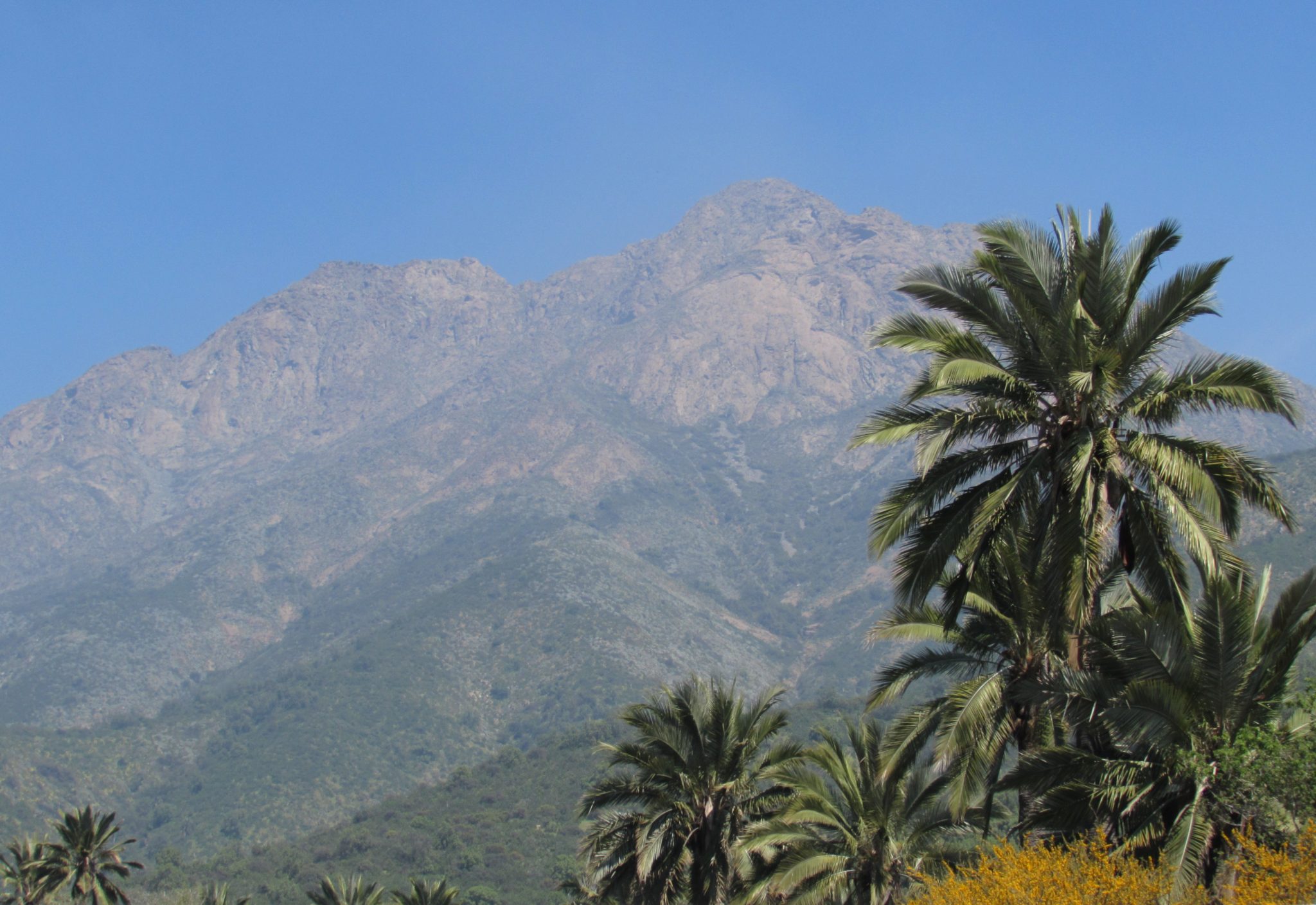 Presentan un plan maestro para el desarrollo turístico del parque nacional La Campana