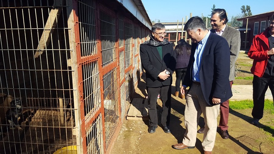 Nuevo Centro Municipal de Atención Veterinaria de Limache abrió sus puertas