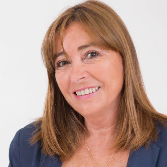 [Columna: Carta Abierta] Grave ofensa sufrió Colonia Italiana de Villa Alemana en Concejo Municipal