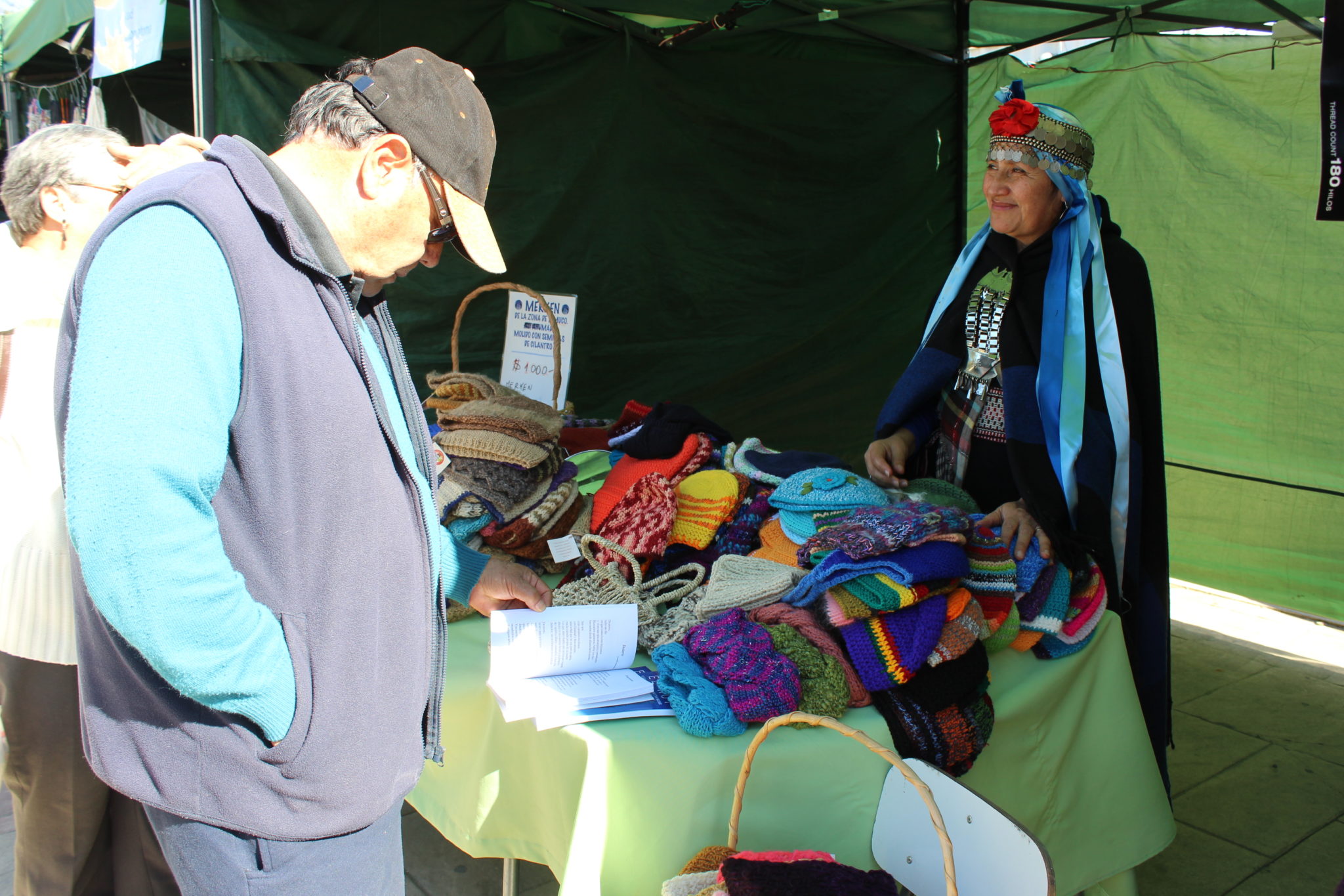 Emprendedores de pueblos originarios exponen sus productos en Parque Belén de Villa Alemana