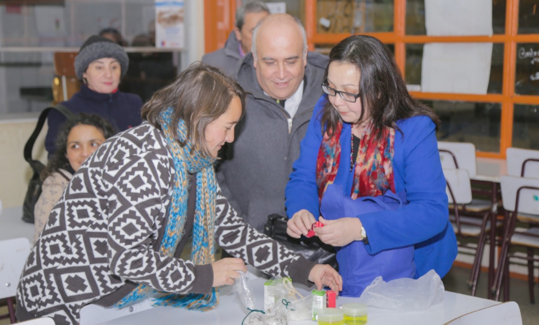 Liceo Artístico Gronemeyer abre inscripciones online para talleres culturales gratuitos