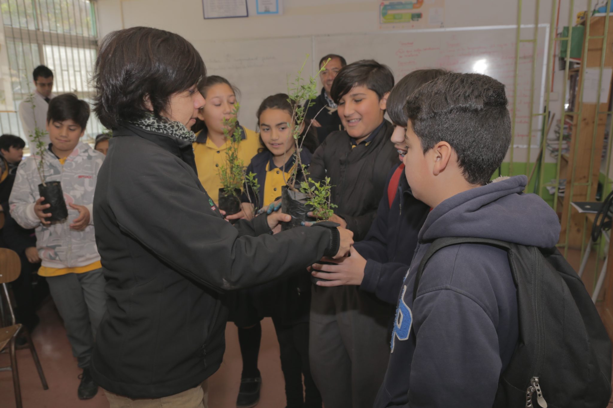 Alumnos del Colegio Fernando Durán recibieron charla sobre cuidado del árbol y su reforestación