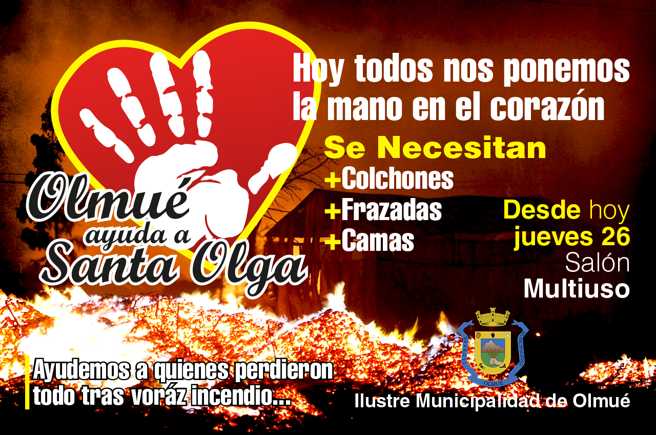 Olmué ayuda a la localidad de Santa Olga en Constitución