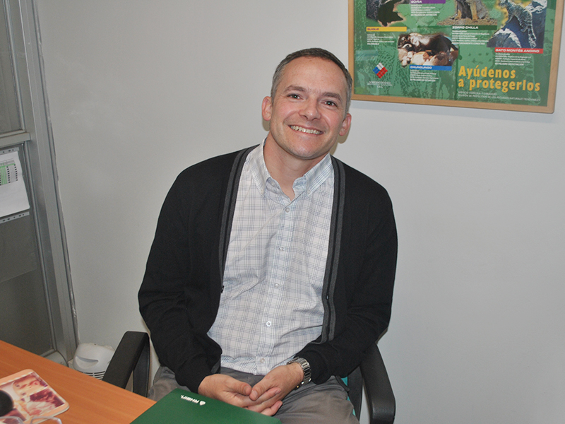 Carta Abierta: ¿Sirve la música para calmar a las mascotas frente al ruido de los fuegos artificiales? Médico Veterinario de UST Viña del Mar entrega la respuesta