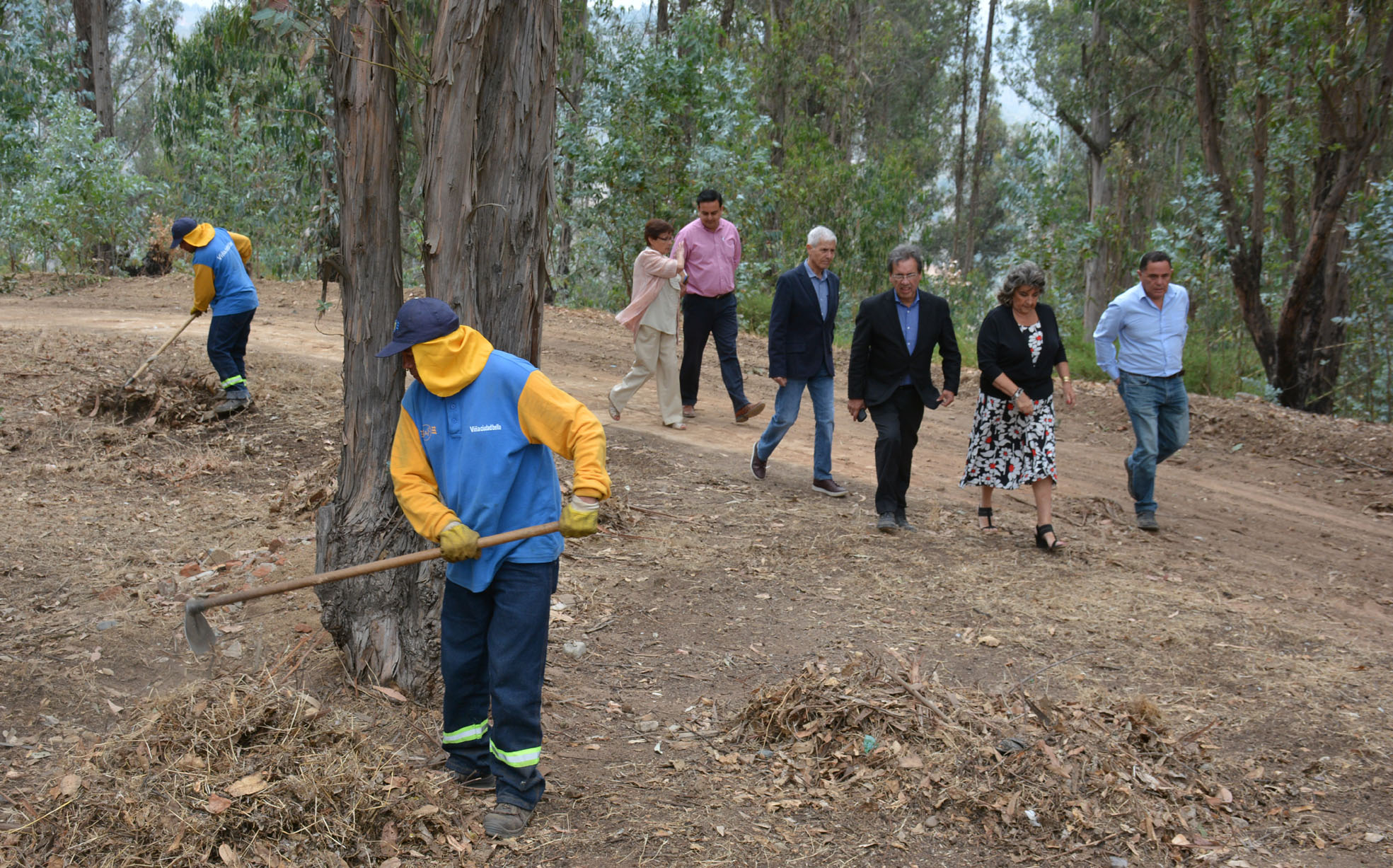 Énfasis en los planes de invierno y de incendios forestales marcó trabajo anual de la mesa de prevención de riesgos en Viña del Mar