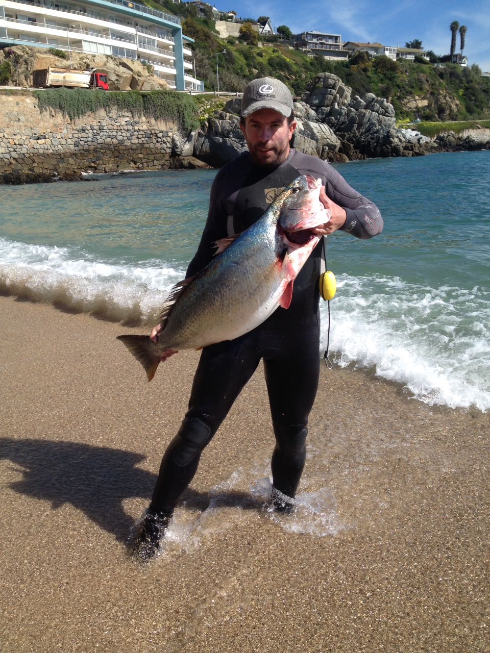 Vuelve la Corvina a la pesca tras dos meses de veda