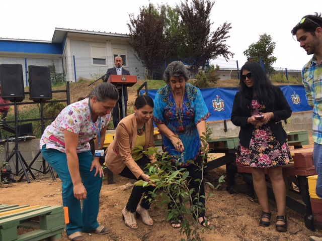 Eliminan micro basural y crean sendero ecológico mejorando acceso a Cecosf Las Palmas de Forestal