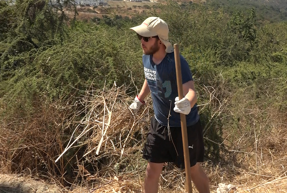 Municipio de Quilpué continua plan de desmalezado en ejes principales de la comuna