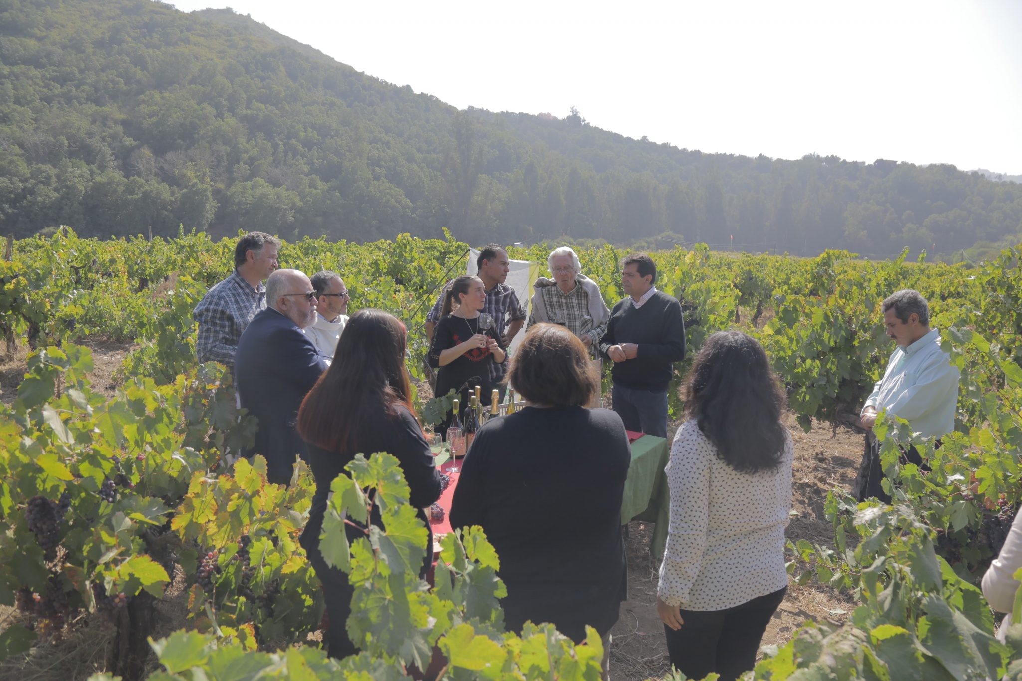 Están listos los preparativos para vivir la Cuarta Versión de la Fiesta de la Vendimia en Quilpué